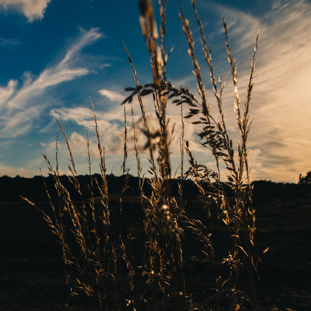 Find Out More Information about Lifespan Wellness Mental Health Solutions